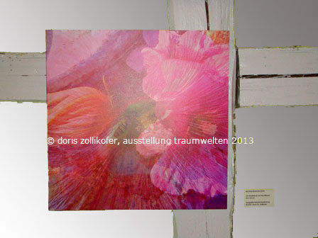 bluetenstruktur, fotografie von doris ch. zollikofer